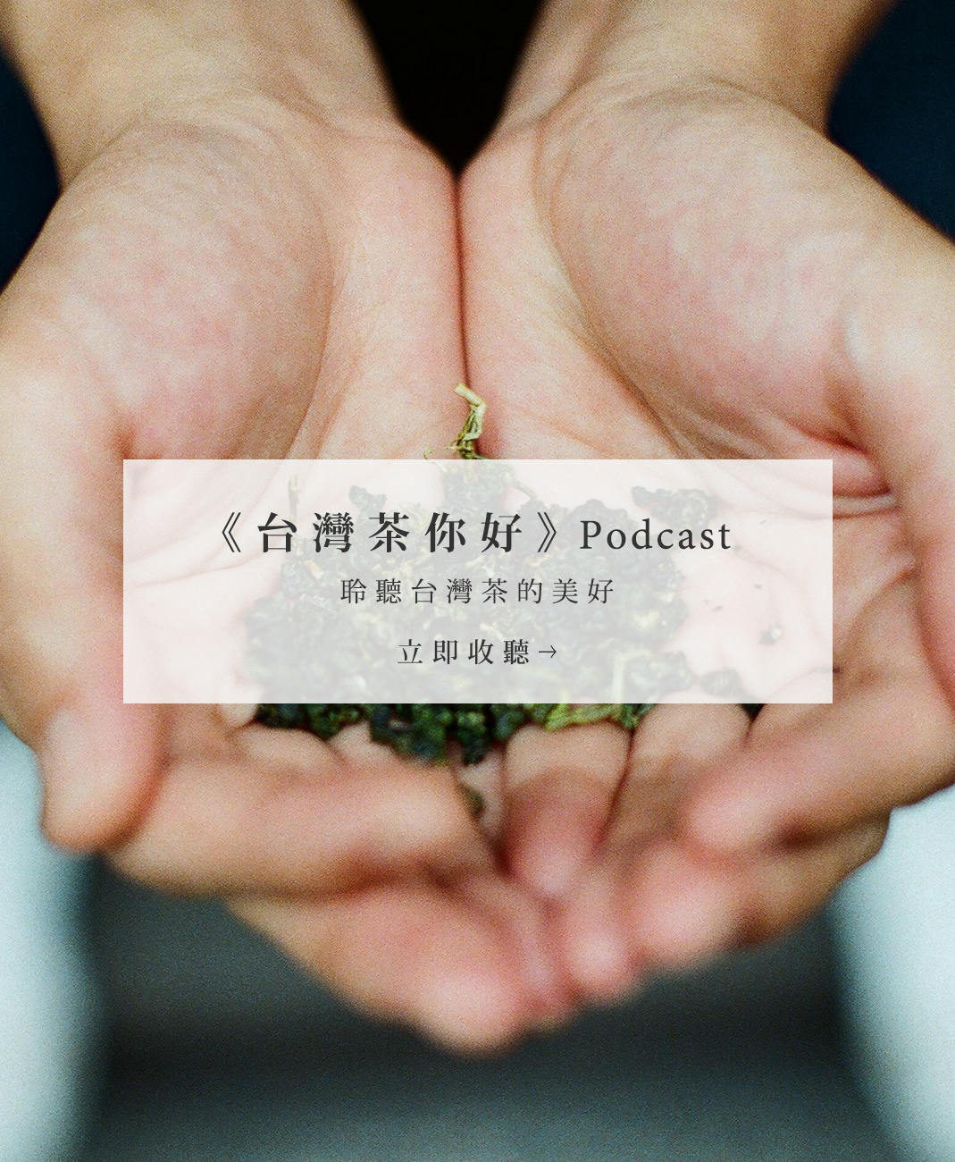 台灣茶你好Podcast