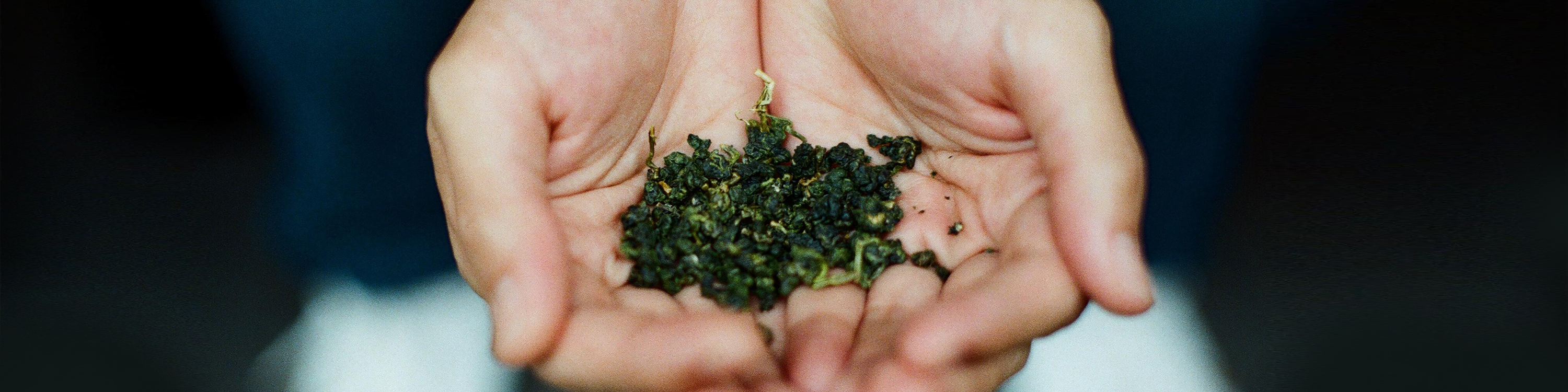 台灣茶你好Podcast