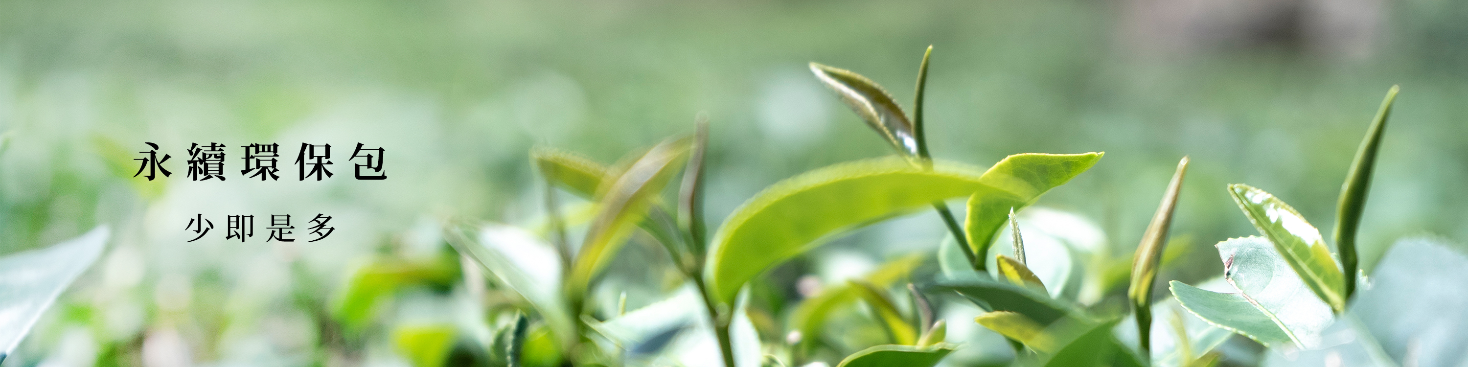 永續環保包 原葉茶葉
